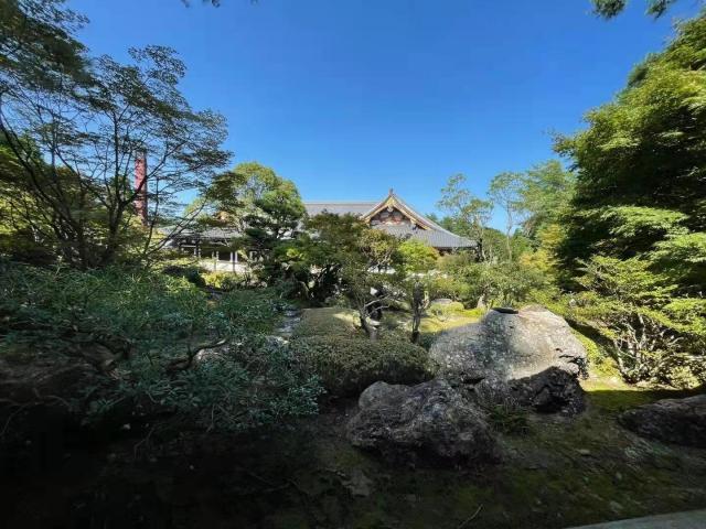 开云体育平台-日本阿含･桐山杯许家元首度加冕，井山事不过“五”